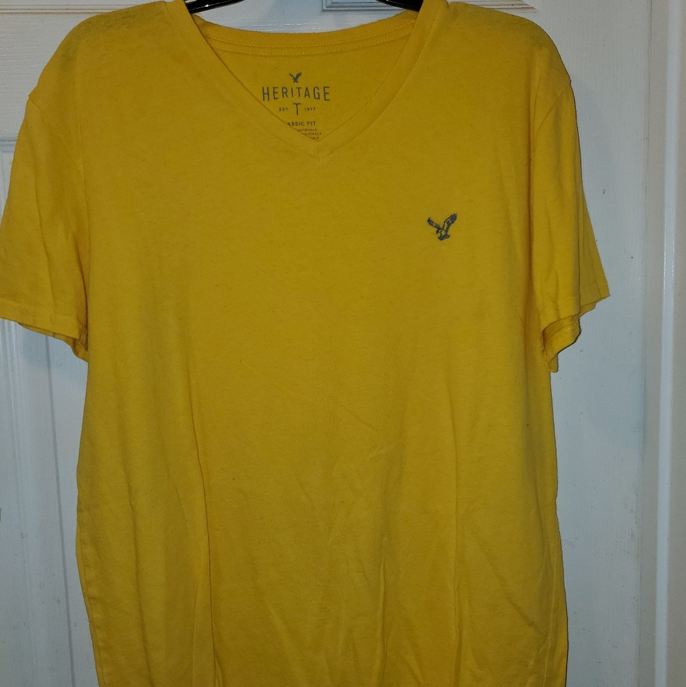 American Eagle V Neck
